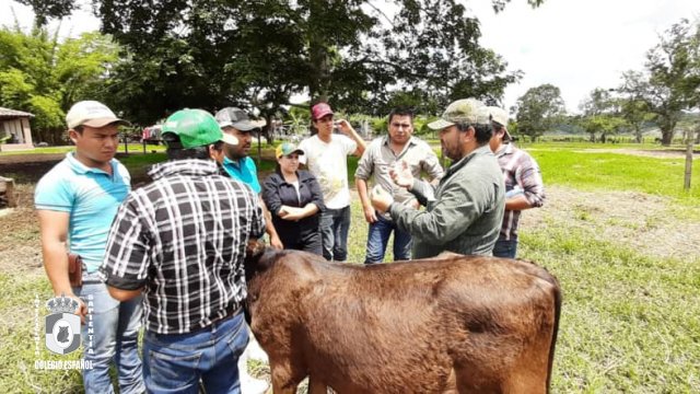 Ingeniero Agrónomo Zootecnista Colegio Español del Sureste