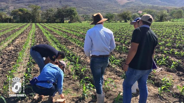 Colegio Español del SuresteLicenciatura en Ingeniero Agrónomo Zootecnista