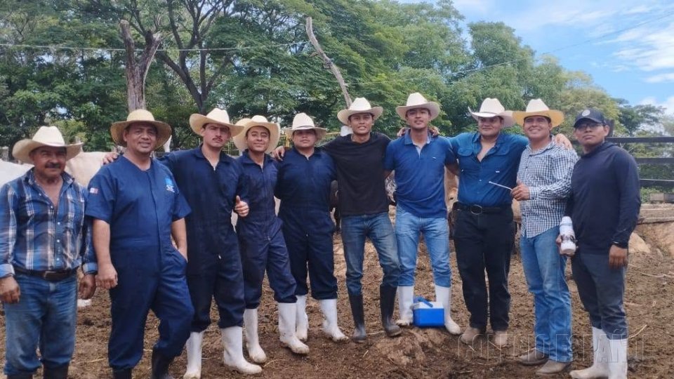 Práctica Manejo Preventivo de Bovinos